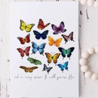 Colorful butterflies on white background.