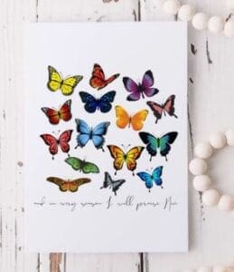 Colorful butterflies on white background.