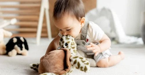 Baby playing with stuffed turtle.