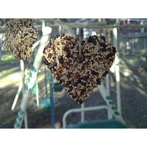 Heart-shaped birdseed feeder hanging outdoors.