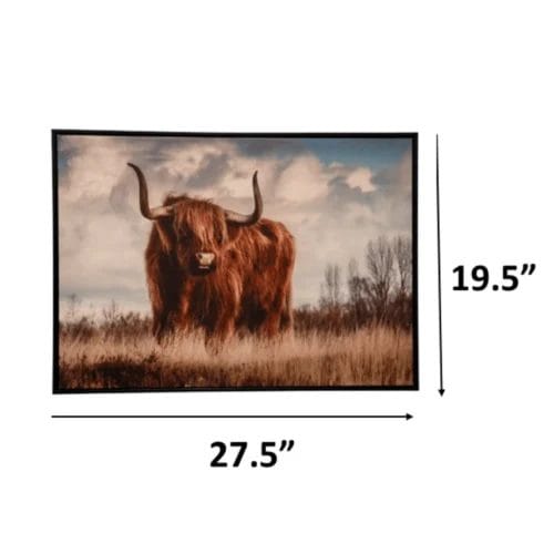 Long Horn Steer Canvas Print ~20"x30" - Image 2